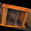 동열농장 | 파덩탁 야탑맛집 대양참치 다녀오다.