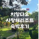 사랑 | [태국] 치앙다오 사랑해리조트 내돈내산 상세후기