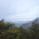 금강정비 | 충북 영동 | 천태산 &amp; 금강둘레길 산책 코스 블로그 후기