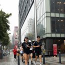 댕댕이 머리하는 날 이미지