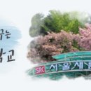 서울새롬학교 네이버블로그
