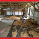 도수농장 이미지