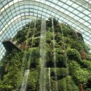 가든 오브 클라우드 이미지