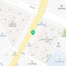 대전 강아지분양 고양이분양 파라다이스펫본점 네이버블로그