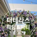 강석로 | 일산 더테라스웨딩&amp;파티 계약 후기 💍(26년 8월 예식)