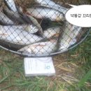 증산민박 Daum카페