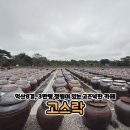 서일목장 | ENFP부부의 전국일주 익산편 ⑤| 4천개 장독대 뷰 맛집 고스락 리뷰