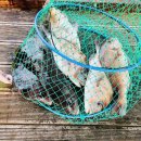 해남바다낚시터 이미지