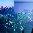 샤이니PC 이미지