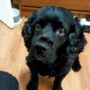 선인중학교 이미지