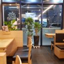 국수나무월배점 이미지