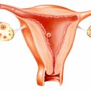 도림한의원 이미지