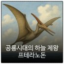 프테라노돈 | 백악기 하늘의 지배자 익룡 프테라노돈