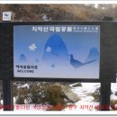 황골공원 이미지