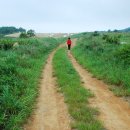 경주목장 이미지