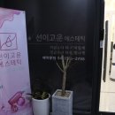 선이고운에스테틱 이미지