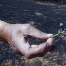 기곡경로당 이미지