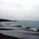 트럼펫연주 이미지