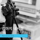 신현동물병원 이미지