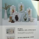 단백질 쉐이크 추천 | 뷰니스 한끼쉐이크 곡물 맛💪🏻🥛