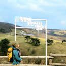 태흥모텔 | 국토종단걷기 땅끝에서 임진각까지 600km 걷기 6일차