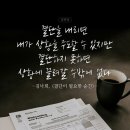 남의로-1 | 코인수익에 대한 나의 생각과 앞으로의 방향
