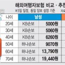 여행자보험 '하루 1000원'…불붙은 최저가 경쟁 이미지