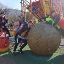 송라태권도 이미지