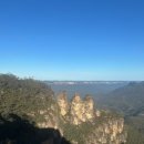 뽀삐뽀삐 이미지