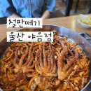 철판떼기(야음점)