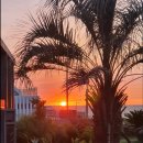 오션포인트 이미지