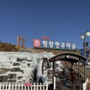대관령 양떼목장 근처 정육식당 평창한우마을 내돈내산 후기/ 할인
