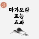 마가 티스토리