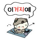 워니하루 이미지