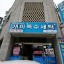 개미세탁 이미지
