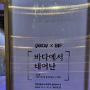 24/11/01/금욜[부산]온천천,수영강,수영팔도시장,수영사적공원,망미동고려제강 이미지