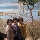 꽃님이네 카페 이미지