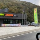 600마지기가는길야영장 이미지