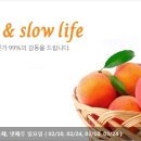 마운티아롯데마트 이미지