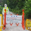 양돈 농장 이미지