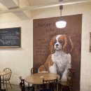 소금&설탕 | [광주] 충장로 봉류즈 도그 베이크샵 설탕 소금빵 외 4종 구매 후기