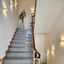 블랑도도 이미지