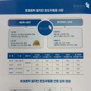 후퍼옵틱 - 안동시 강남14길 7-17 | 후퍼옵틱