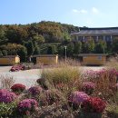 이천농업테마공원 이미지