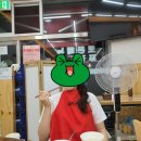 서해아구찜해물탕 이미지