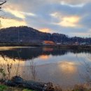 아모르민박 이미지