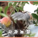 괴산농장 이미지