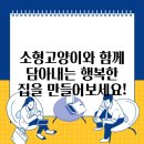 행복한집 이미지