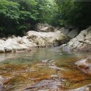 요룡대 Daum카페