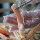 봉포활어회센터 이미지